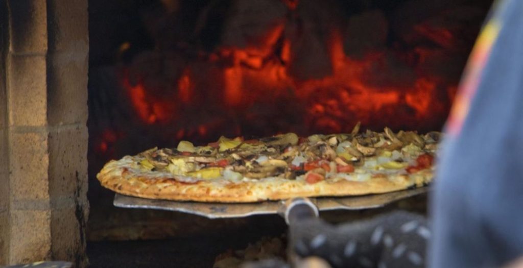 Wood Fired Pizza Oven Manufacturer in Pragati Vihar