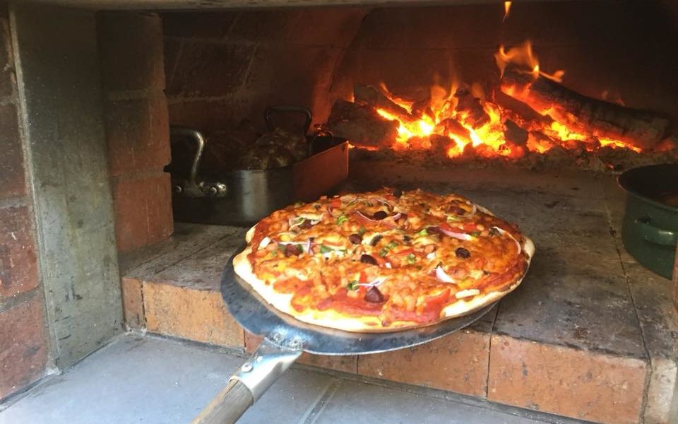 Wood Fired Pizza Oven Manufacturer in Pushp Vihar