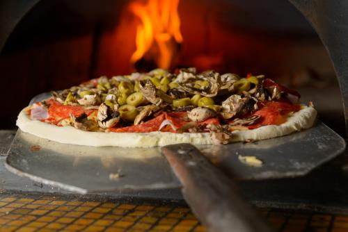 Commercial Woodfired pizza oven in Dilli Haat