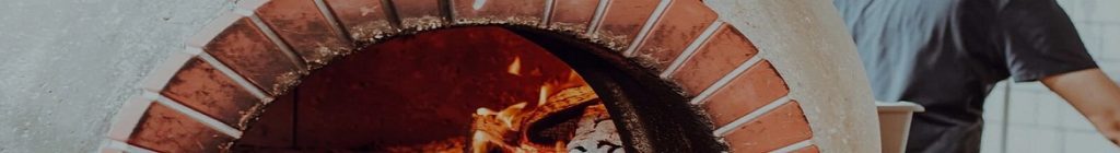 Wood Fired Pizza Oven in Bikaner