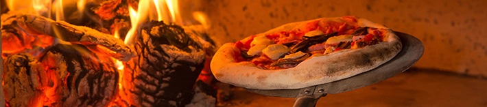 Woodfired Oven Manufacturers in delhi | wood fired pizza oven